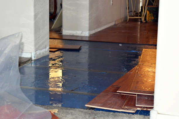 Professional Burst Pipe Cleanup technician working in Hoyt Lakes, MN