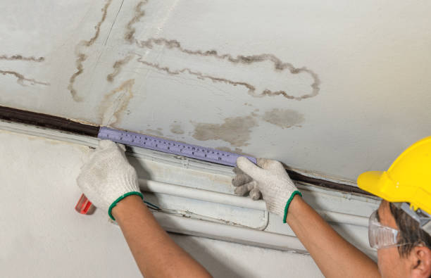 Reliable Burst Pipe Cleanup contractor in Hoyt Lakes, MN by Water Damage Irwin